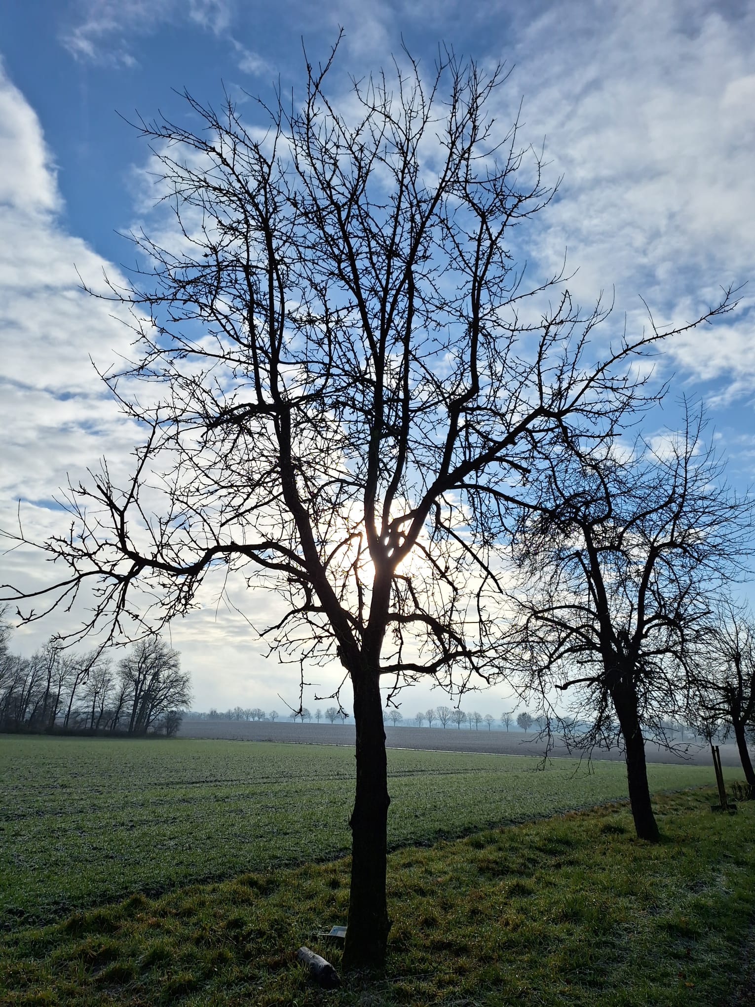 20251231_Silvesterlauf2